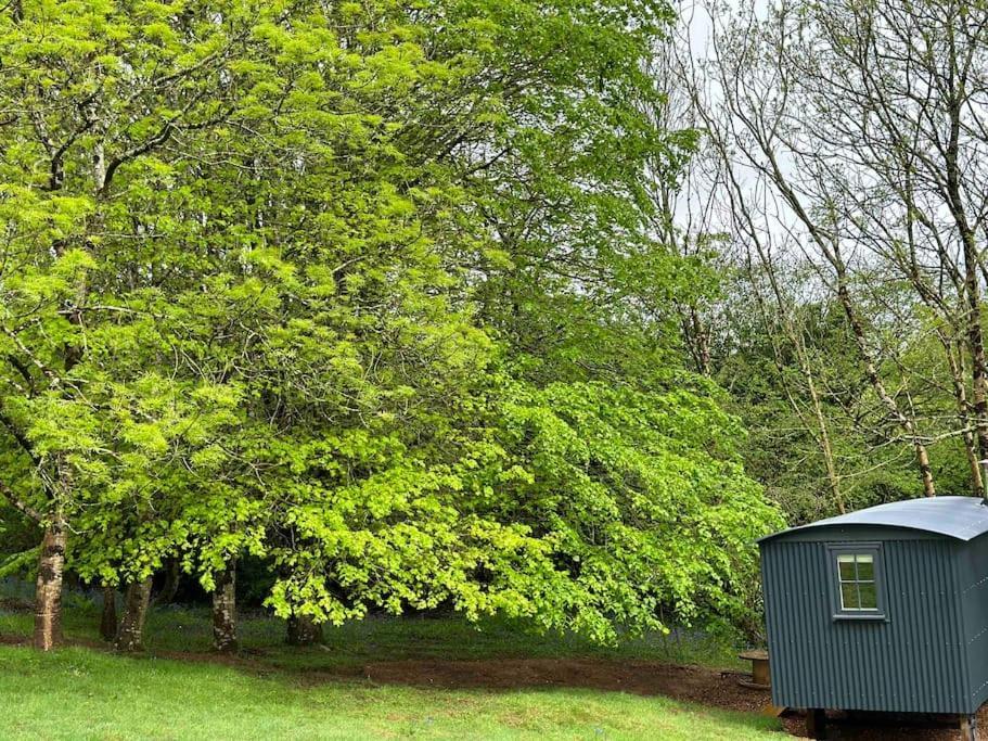 Cornwall Woodland Shepherd'S Hut Deirdres Hut Bodmin Exteriör bild