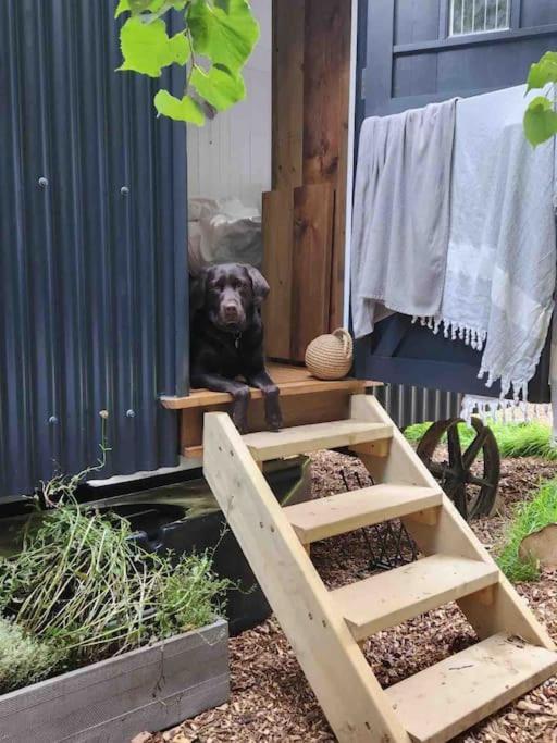 Cornwall Woodland Shepherd'S Hut Deirdres Hut Bodmin Exteriör bild