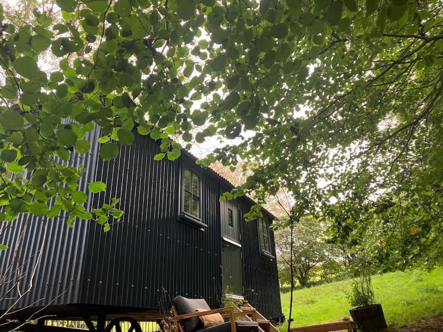 Cornwall Woodland Shepherd'S Hut Deirdres Hut Bodmin Exteriör bild