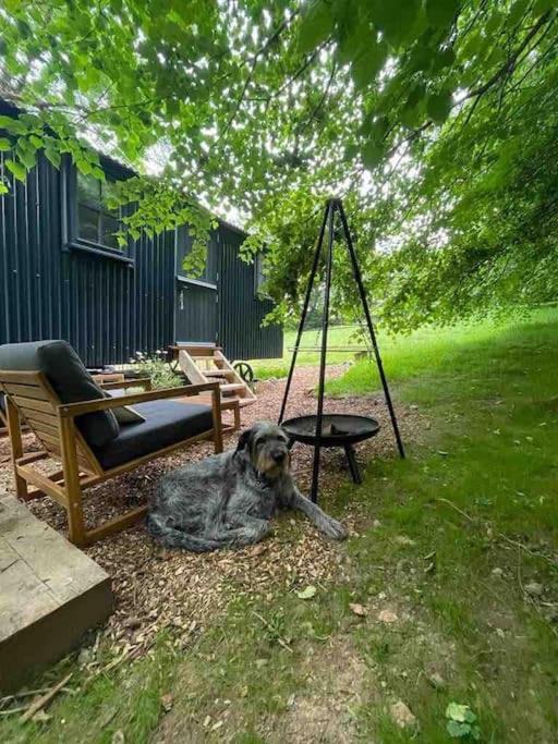 Cornwall Woodland Shepherd'S Hut Deirdres Hut Bodmin Exteriör bild
