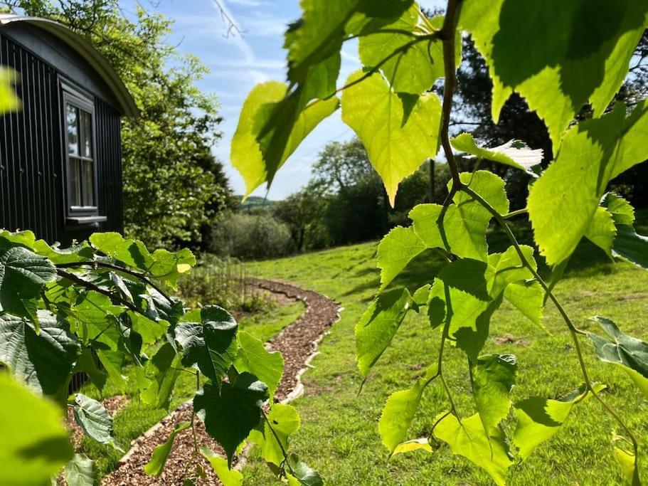 Cornwall Woodland Shepherd'S Hut Deirdres Hut Bodmin Exteriör bild