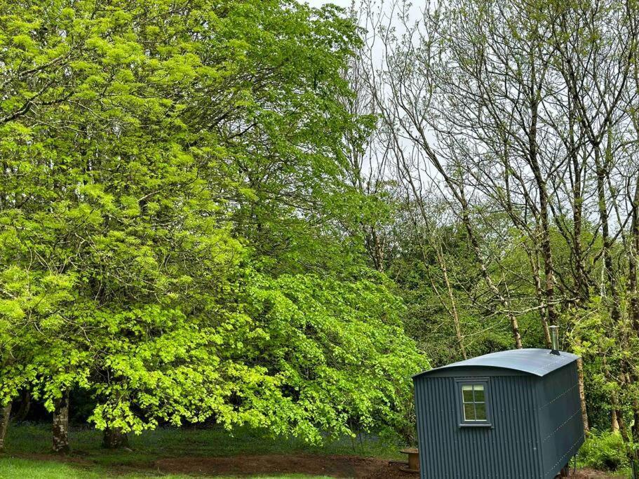 Cornwall Woodland Shepherd'S Hut Deirdres Hut Bodmin Exteriör bild