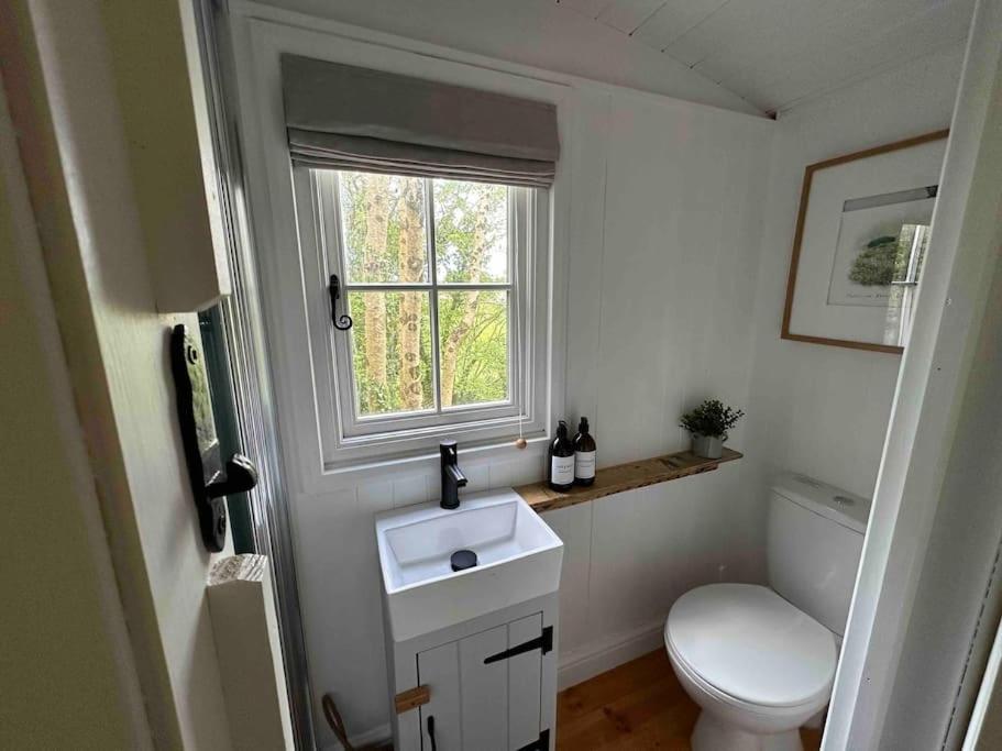 Cornwall Woodland Shepherd'S Hut Deirdres Hut Bodmin Exteriör bild