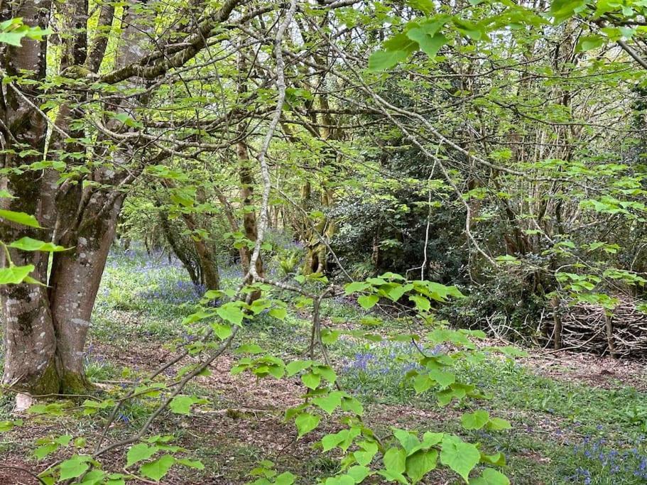 Cornwall Woodland Shepherd'S Hut Deirdres Hut Bodmin Exteriör bild